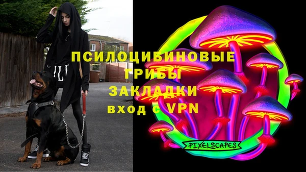 mdpv Армянск