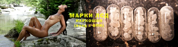 ГАЛЛЮЦИНОГЕННЫЕ ГРИБЫ Аркадак