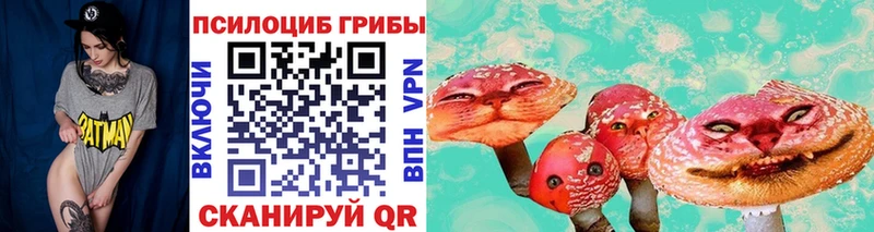 это наркотические препараты Шадринск Псилоцибиновые грибы мицелий